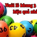 Cách phân bố vốn nuôi lô 3 ngày hiệu quả