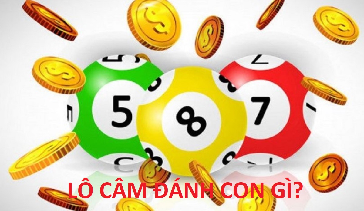 Bí kíp đánh đầu câm 